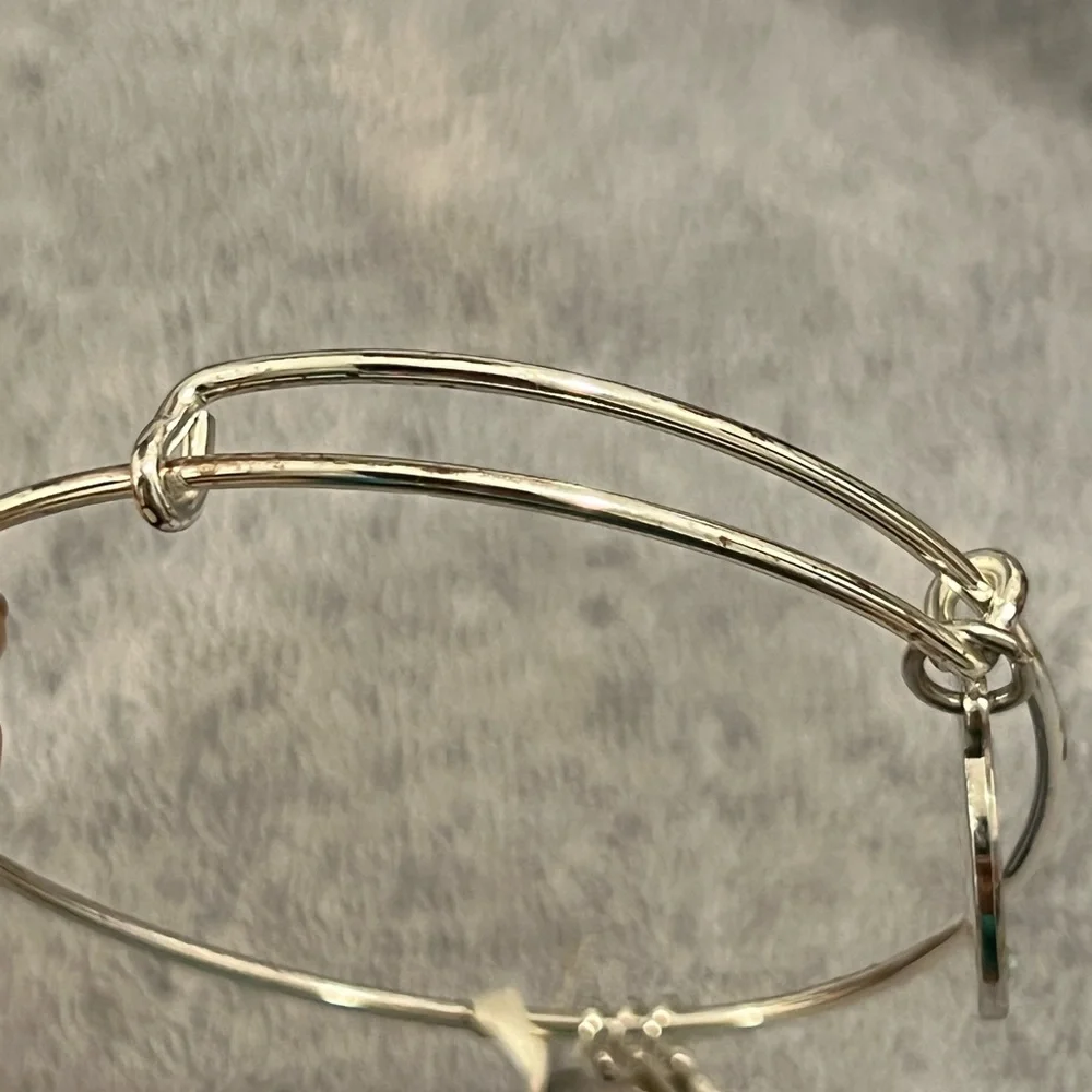 Alex and Ani Mazel Tov charm‎ bracelate
